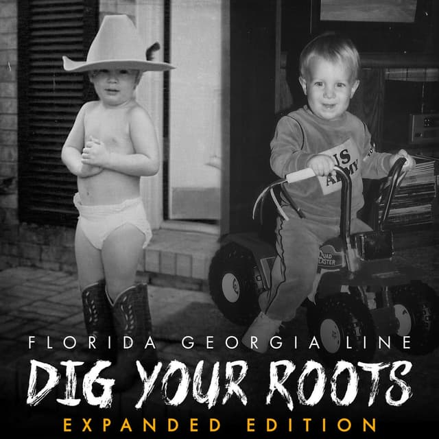 Dig Your Roots cover