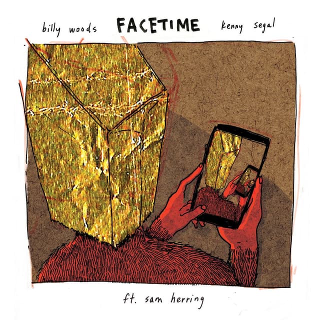 FaceTime cover