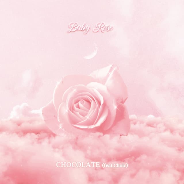 CHOCOLATE cover