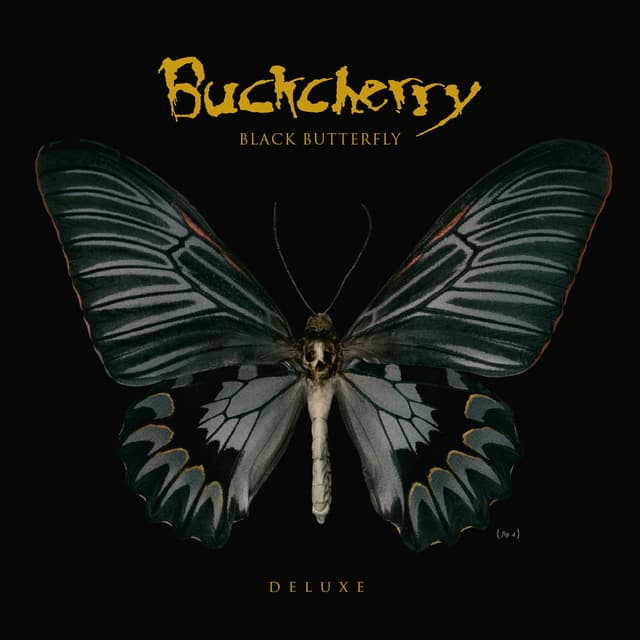 Black Butterfly album cover