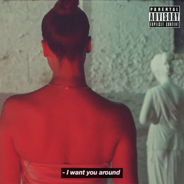 I Want You Around cover