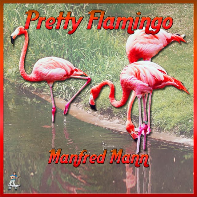 Pretty Flamingos album cover