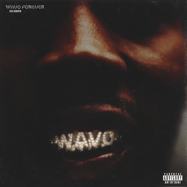 WAVO FOREVER cover