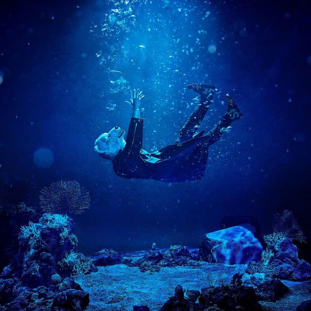 INTO THE DEEP cover