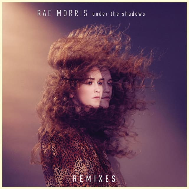 Under the Shadows Remixes cover