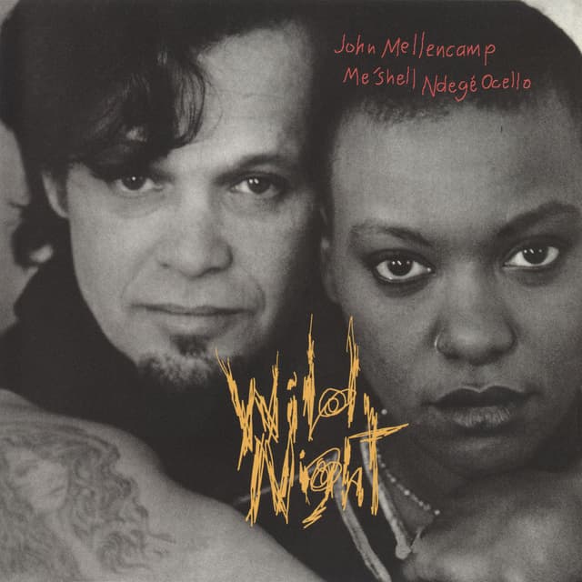 Wild Night cover