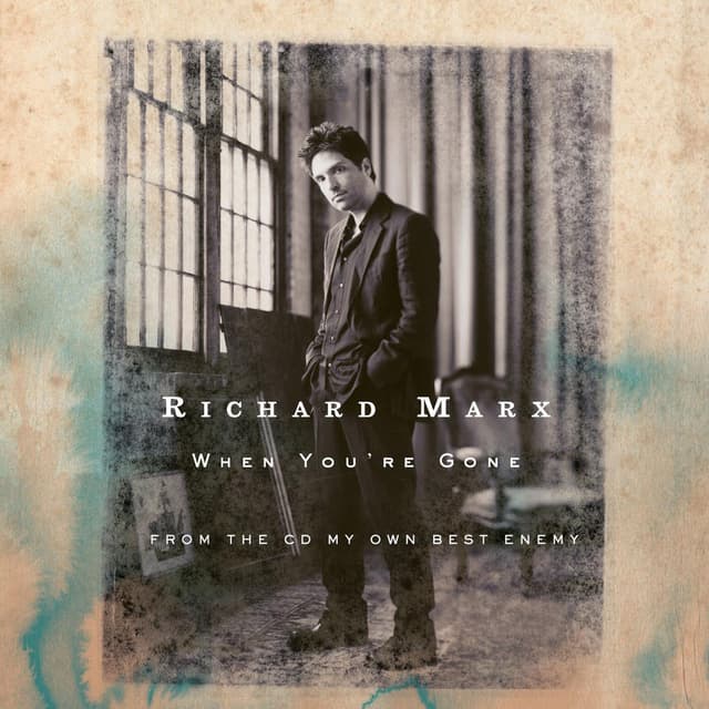 When You're Gone cover