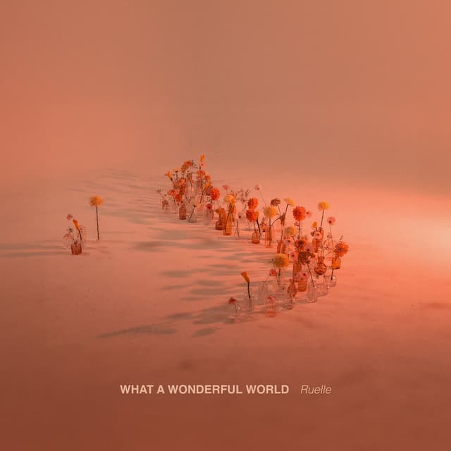 What a Wonderful World cover