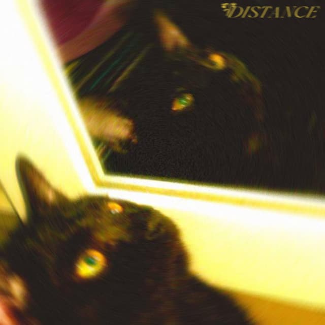 Dive Into You cover