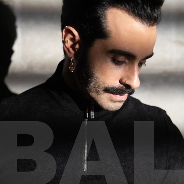 Bal cover