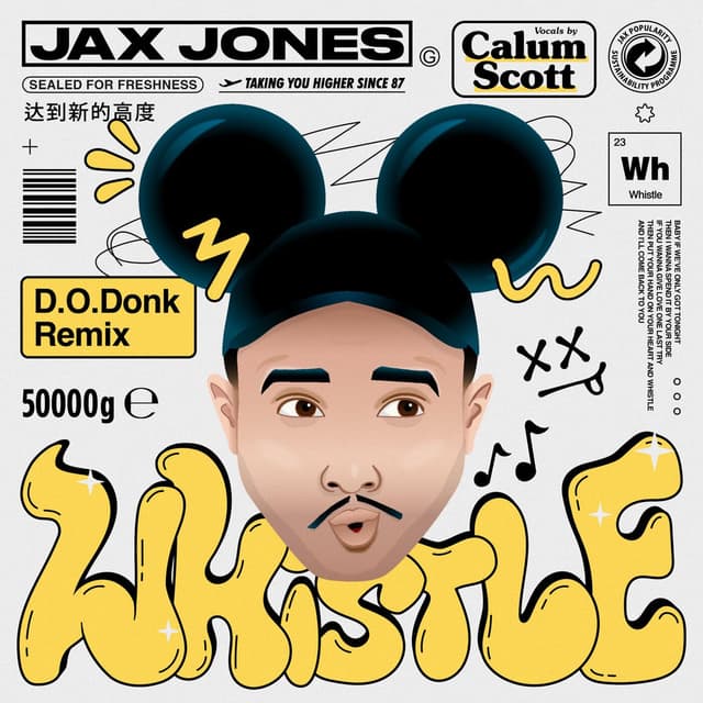 Whistle (D.O.Donk Remix) cover