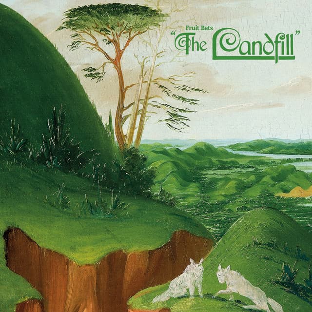 The Landfill cover