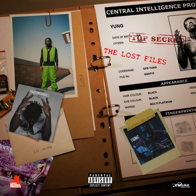 Lost Files album cover