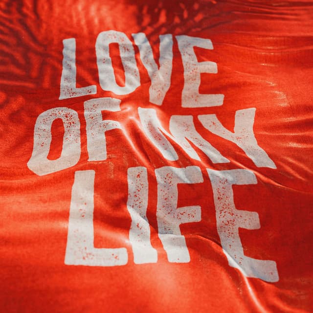 Love Of My Life (Live) cover