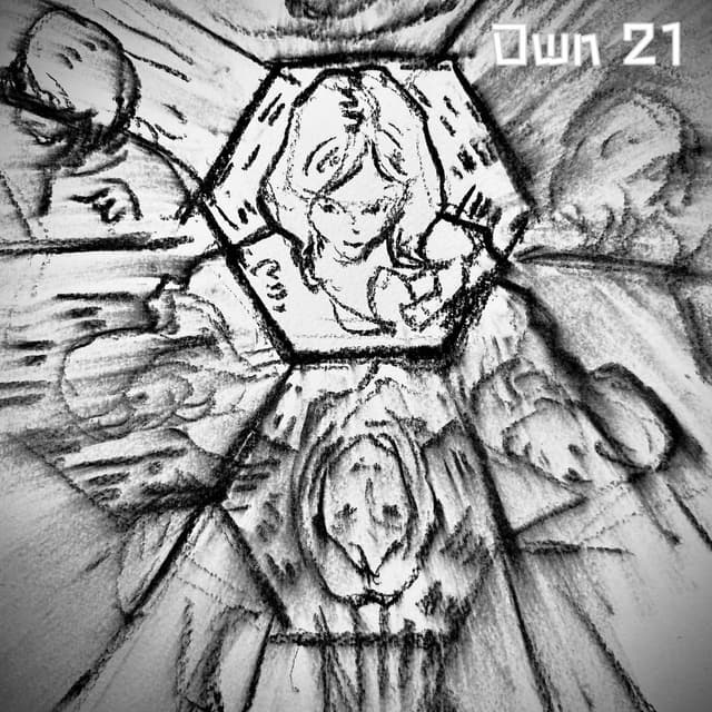 Own 21 cover