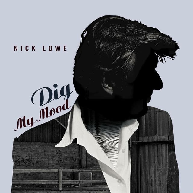 Dig My Mood (25th Anniversary) cover
