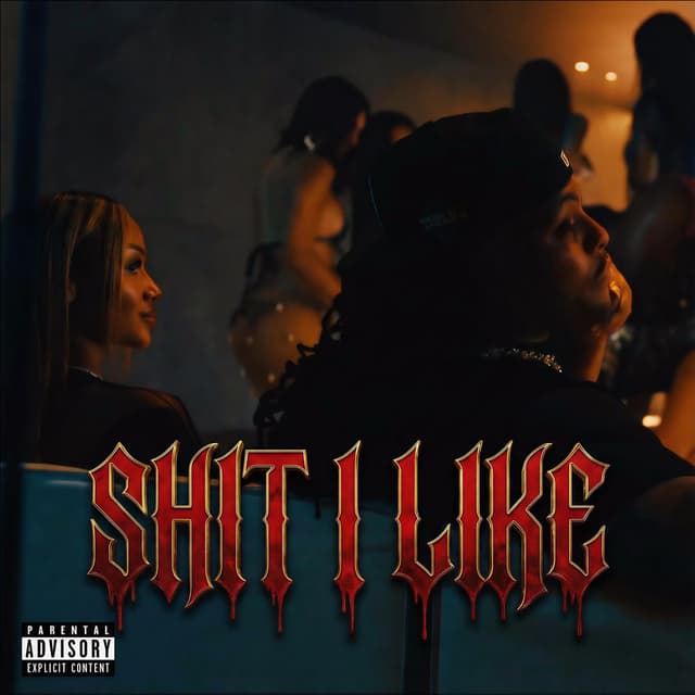 Shit I Like (feat. Trap-A-Holics & DJ Whoo Kid) cover