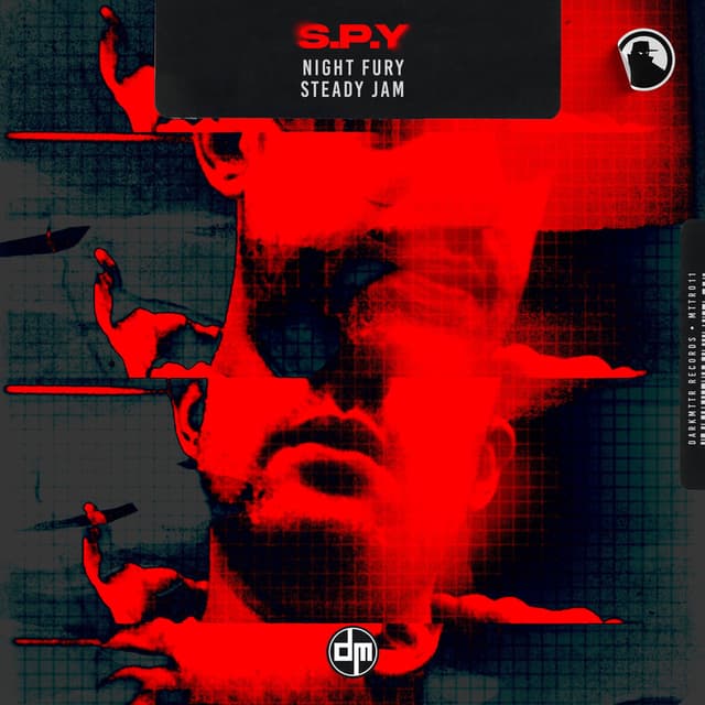 Night Fury cover