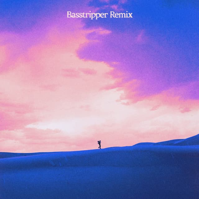 Hell In High Heels (Basstripper Remix) cover