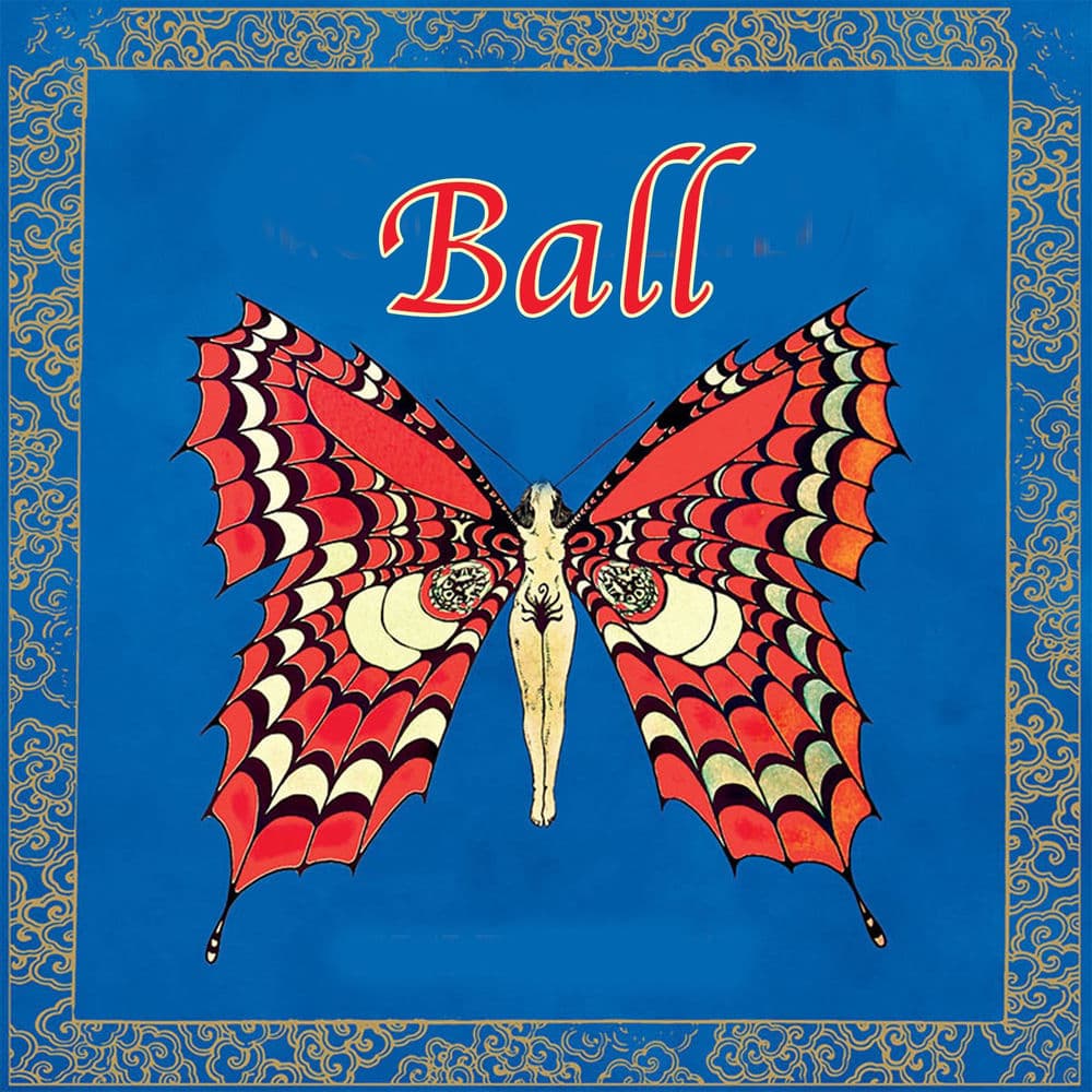 Ball cover