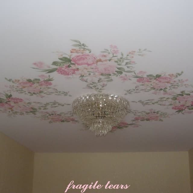 fragile tears cover