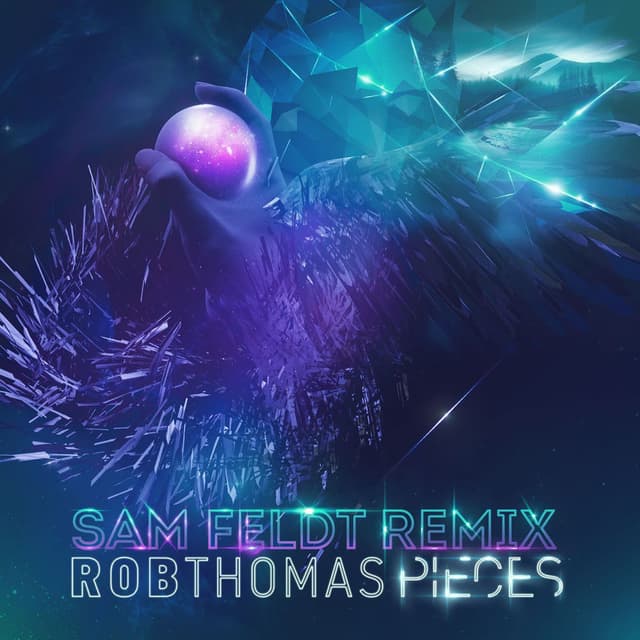 Pieces (Sam Feldt Extended Mix) cover