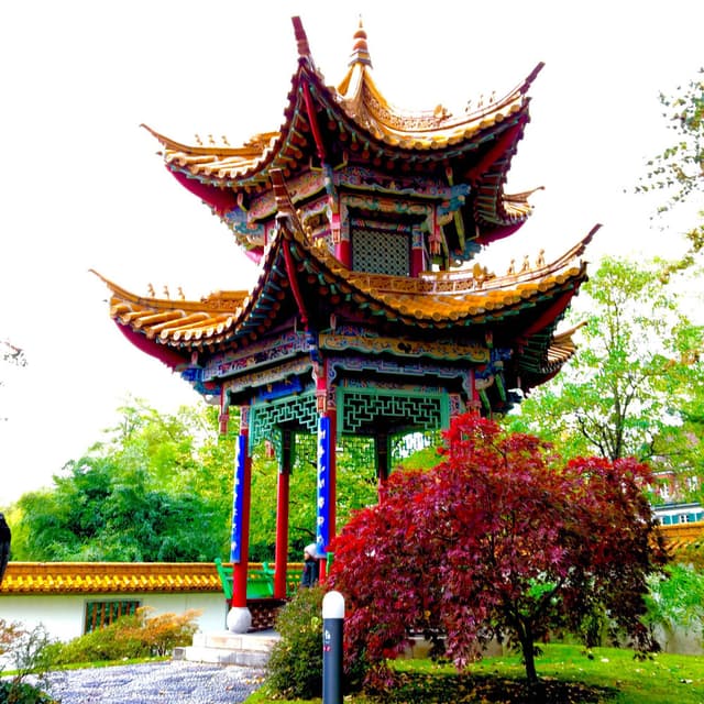 Sun Garden cover