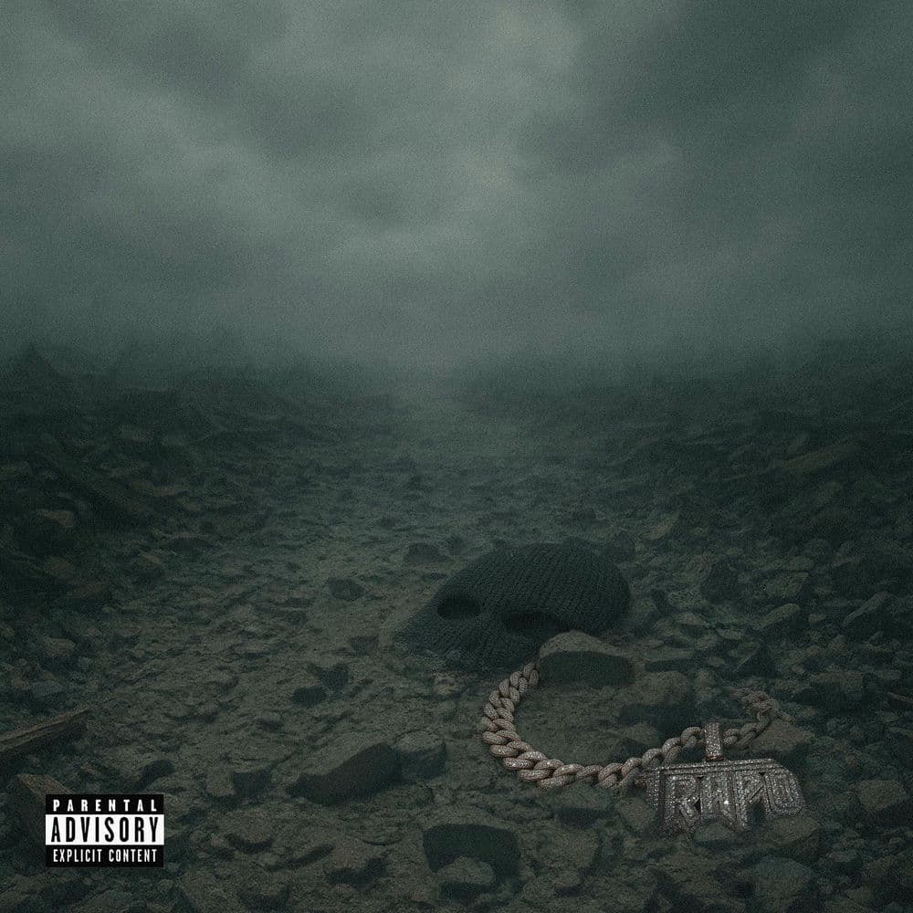 When The Dust Settles cover