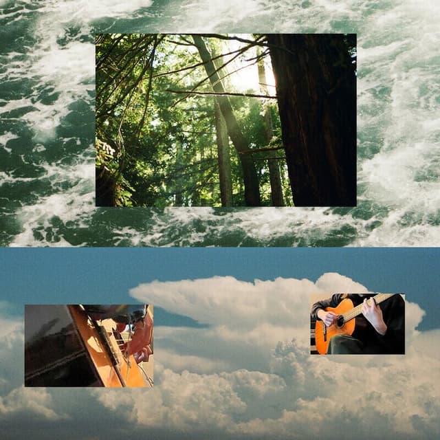Guitars cover