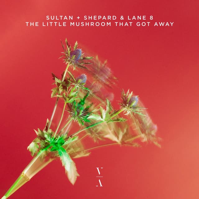 The Little Mushroom That Got Away cover