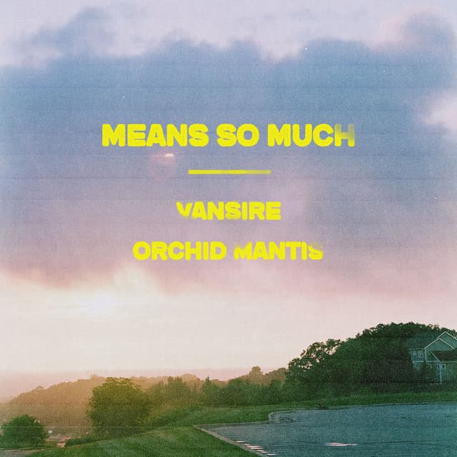 Means So Much cover