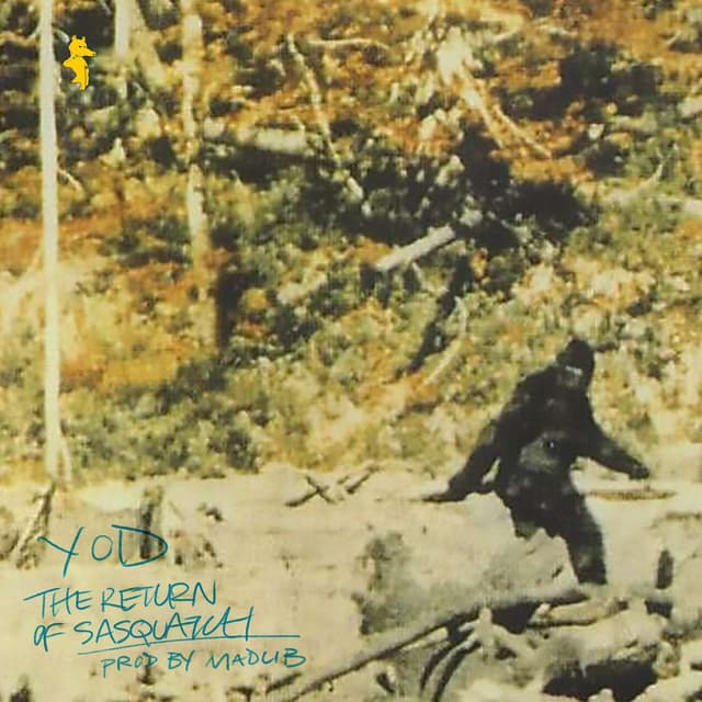 The Return Of Sasquatch cover