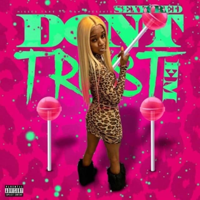 Don't Trust Em cover