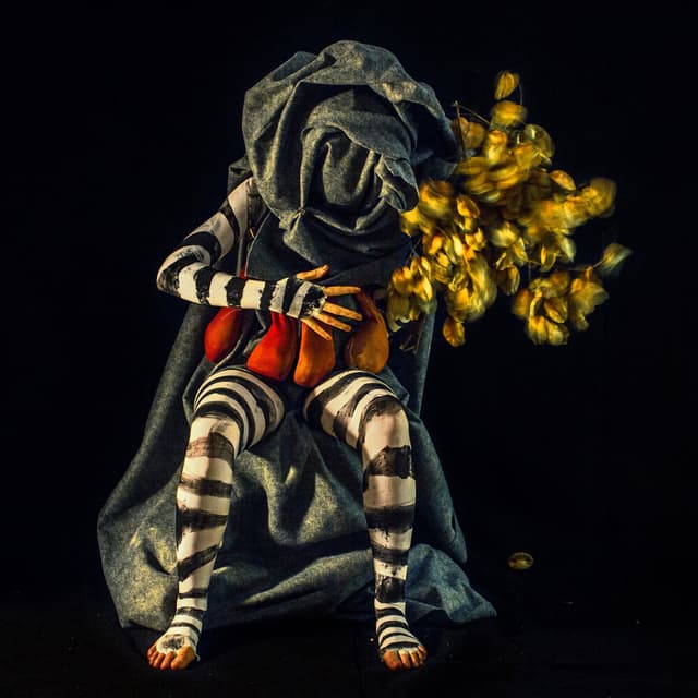 Heavy Petting album cover