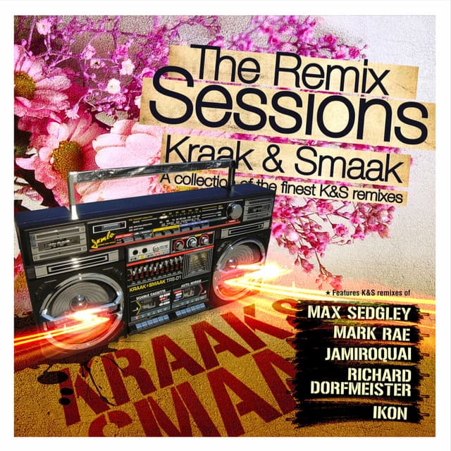 The Remix Sessions cover