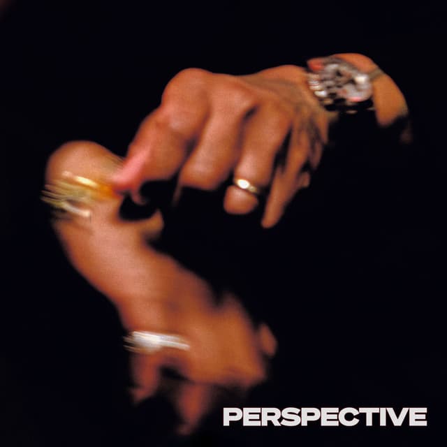PERSPECTIVE cover