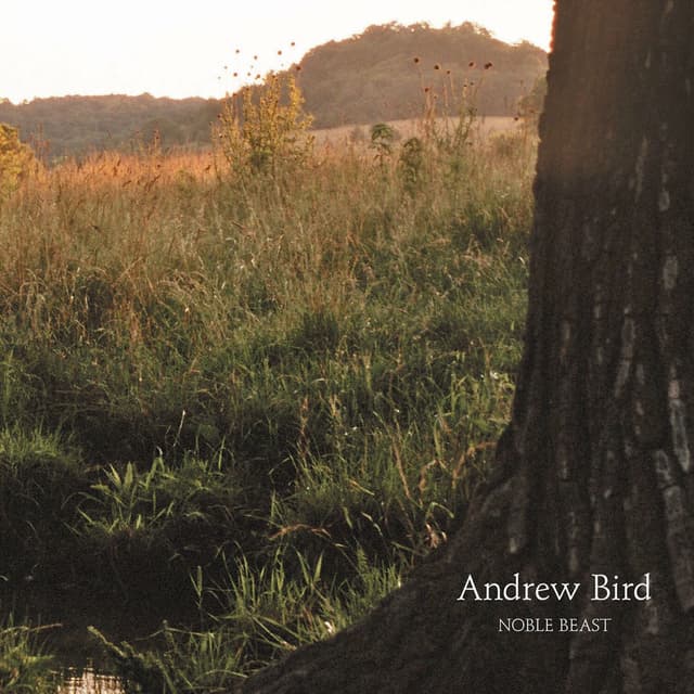 Noble Beast album cover
