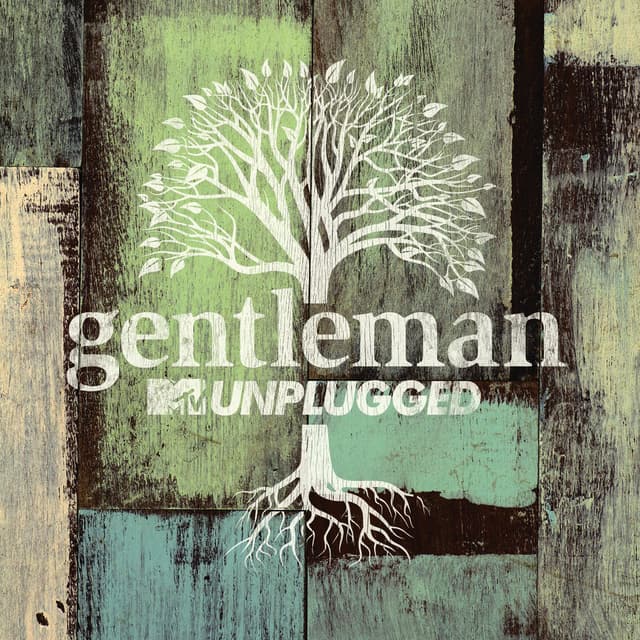 MTV Unplugged (Live Deluxe) cover