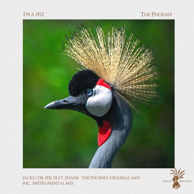 The Phoenix cover