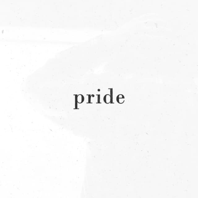PRIDE. cover