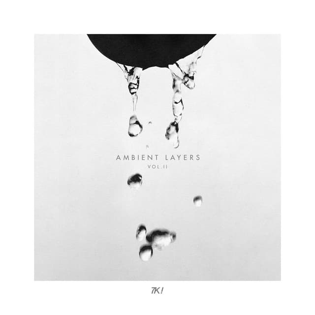 Two Chambers cover