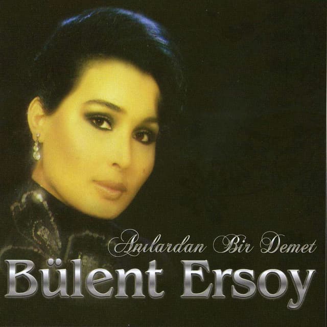 Anılardan Bir Demet cover