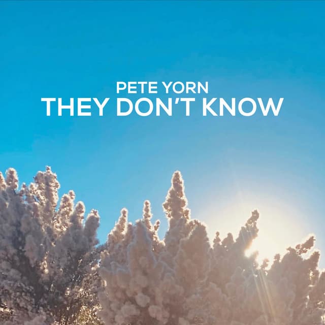 They Don't Know cover