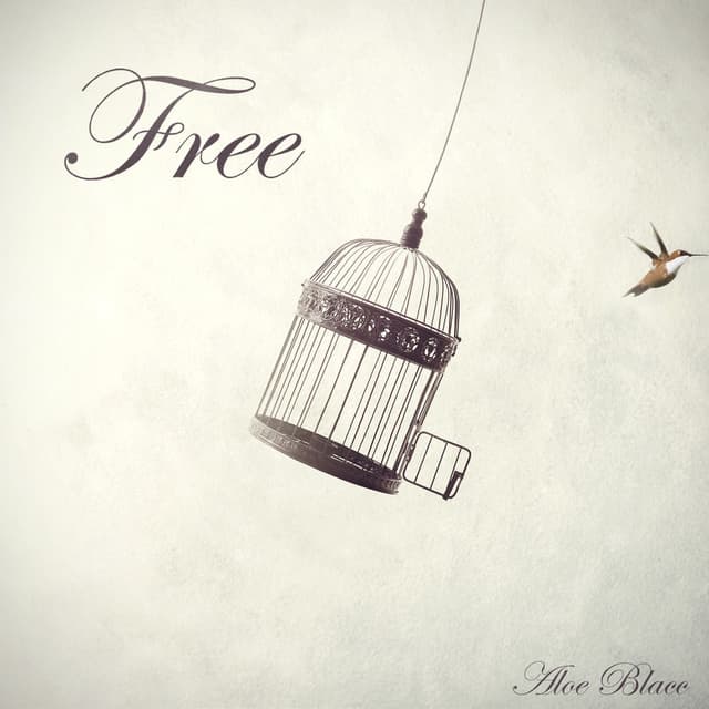 Free cover