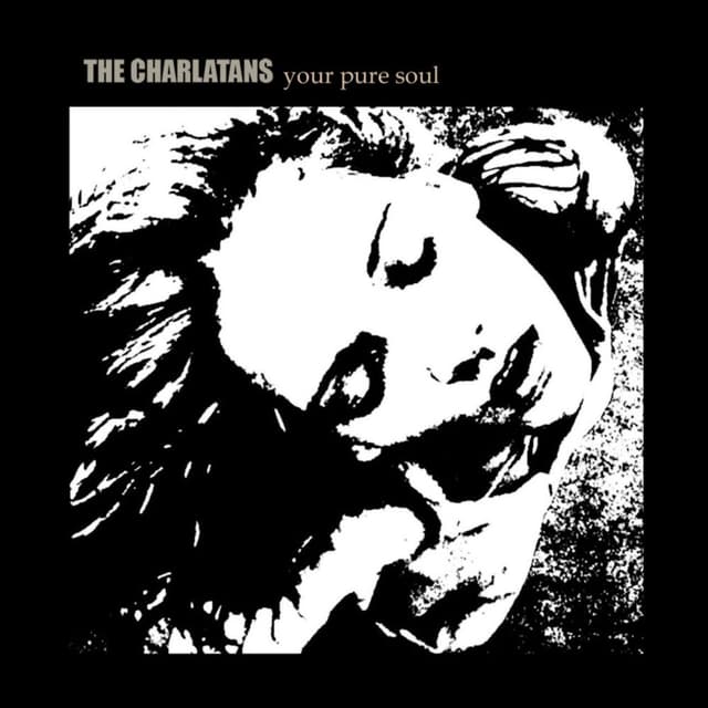 Your Pure Soul cover