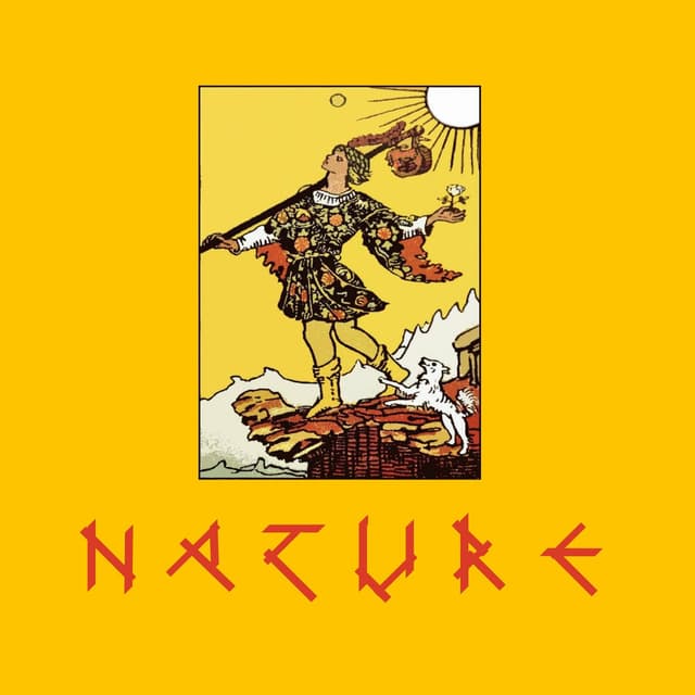 Naked in the Forest cover