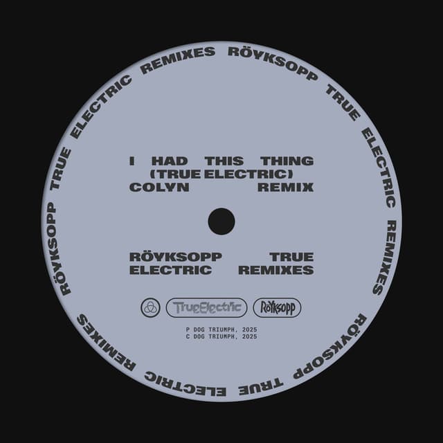 I Had This Thing (Colyn Remix) cover
