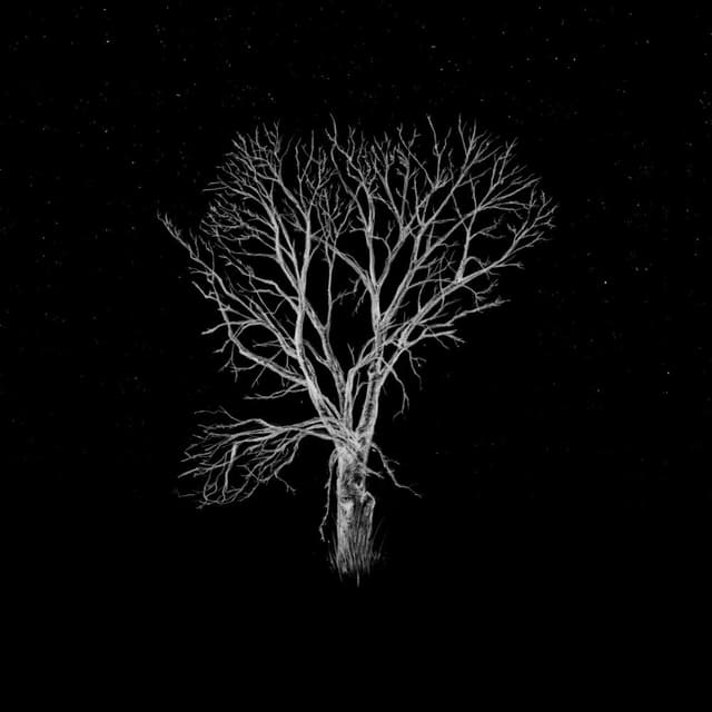 Bloom Innocent - Acoustic cover