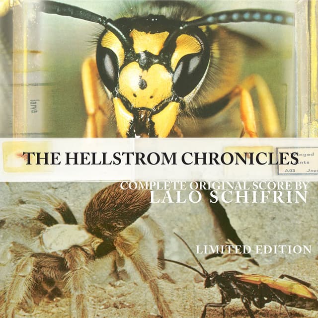 Hellstorm Chronicles, the cover