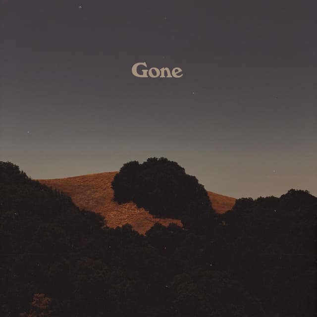 Gone cover